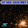 Cl* NGC 1818    WBT     409