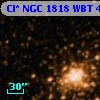 Cl* NGC 1818    WBT     426