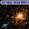 Cl* NGC 1818    WBT     427
