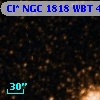 Cl* NGC 1818    WBT     429