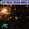 Cl* NGC 1818    WBT     442