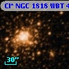 Cl* NGC 1818    WBT     444