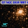 Cl* NGC 1818    WBT     445