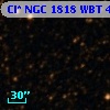 Cl* NGC 1818    WBT     446