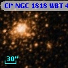 Cl* NGC 1818    WBT     456