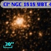 Cl* NGC 1818    WBT     458