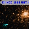 Cl* NGC 1818    WBT     463