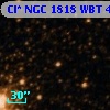 Cl* NGC 1818    WBT     480