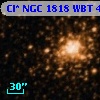Cl* NGC 1818    WBT     483