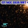 Cl* NGC 1818    WBT     496