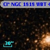 Cl* NGC 1818    WBT     497