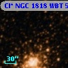 Cl* NGC 1818    WBT     501