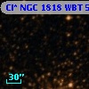 Cl* NGC 1818    WBT     502