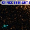 Cl* NGC 1818    WBT     507