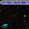 Cl* NGC 1818    WBT     509