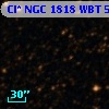 Cl* NGC 1818    WBT     516