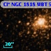 Cl* NGC 1818    WBT     532