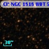 Cl* NGC 1818    WBT     533