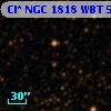 Cl* NGC 1818    WBT     534