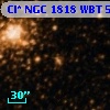 Cl* NGC 1818    WBT     539