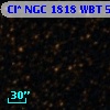 Cl* NGC 1818    WBT     541