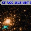 Cl* NGC 1818    WBT     542