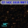 Cl* NGC 1818    WBT     544