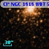 Cl* NGC 1818    WBT     551