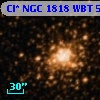 Cl* NGC 1818    WBT     553