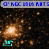 Cl* NGC 1818    WBT     557