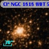 Cl* NGC 1818    WBT     558