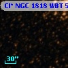 Cl* NGC 1818    WBT     564