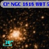 Cl* NGC 1818    WBT     569