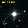 ADS  4199 AB
