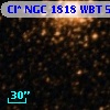 Cl* NGC 1818    WBT     590