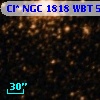 Cl* NGC 1818    WBT     592