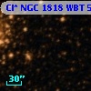 Cl* NGC 1818    WBT     596