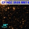 Cl* NGC 1818    WBT     638