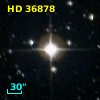 HD  36878