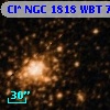 Cl* NGC 1818    WBT     702