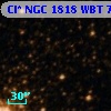 Cl* NGC 1818    WBT     708
