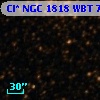 Cl* NGC 1818    WBT     741