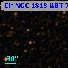 Cl* NGC 1818    WBT     769