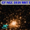 Cl* NGC 1818    WBT     785