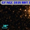 Cl* NGC 1818    WBT     790