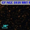 Cl* NGC 1818    WBT     813