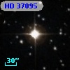 HD  37095
