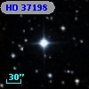 HD  37198