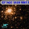 Cl* NGC 1818    WBT     917