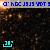 Cl* NGC 1818    WBT     919